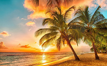 Best about Tropical sunsets on Pinterest Beautiful 1920Ã1080 Tropical Sunset (37 HD wallpaper